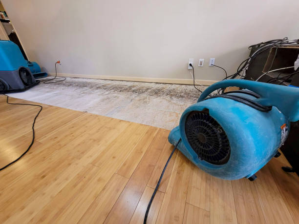 Professional Ceiling Water Damage Repair technician working in Norfolk, MA
